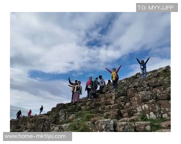 北爱尔兰与奥地利激战正酣谁将赢得这场关键对决