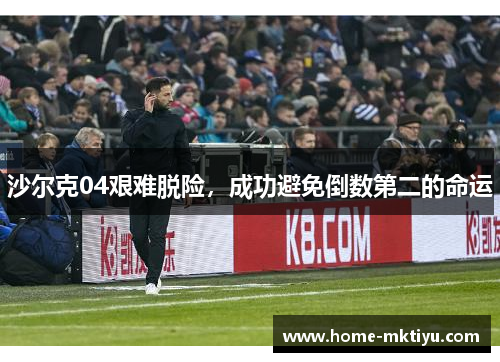 沙尔克04艰难脱险，成功避免倒数第二的命运